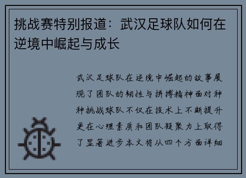 挑战赛特别报道：武汉足球队如何在逆境中崛起与成长